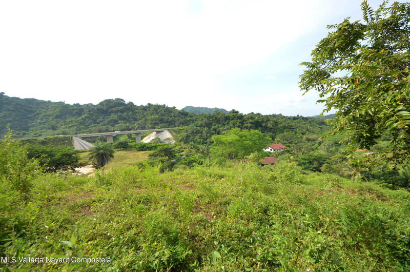 20260116235214526169000000 o