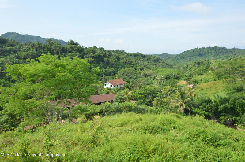 20260116235232031443000000 o