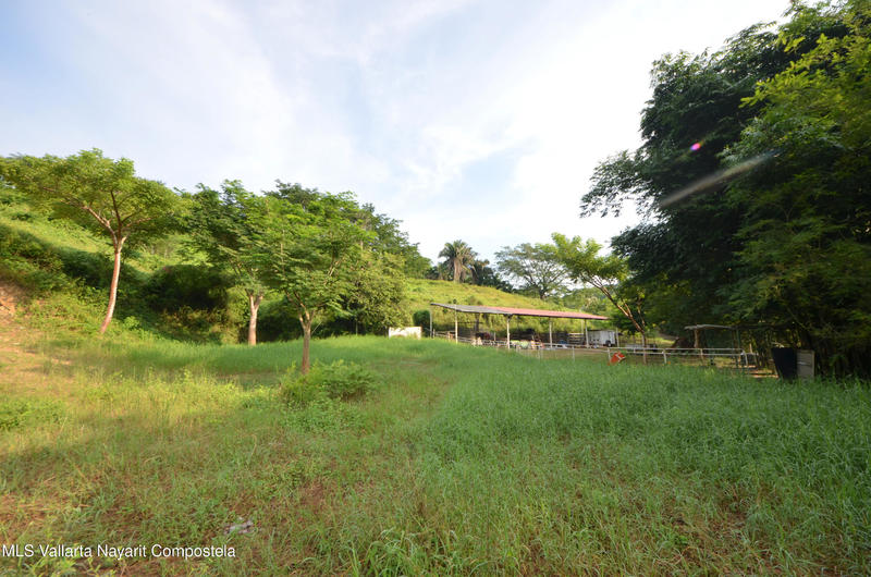 20260116235507044841000000 o