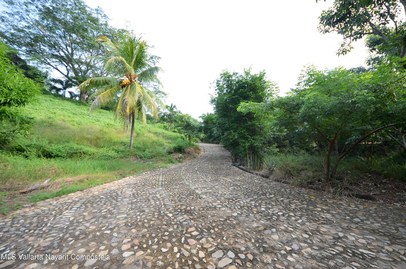 20260116235524718266000000 o