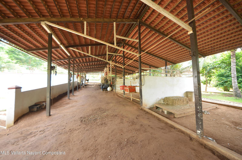 20260116235559475458000000 o