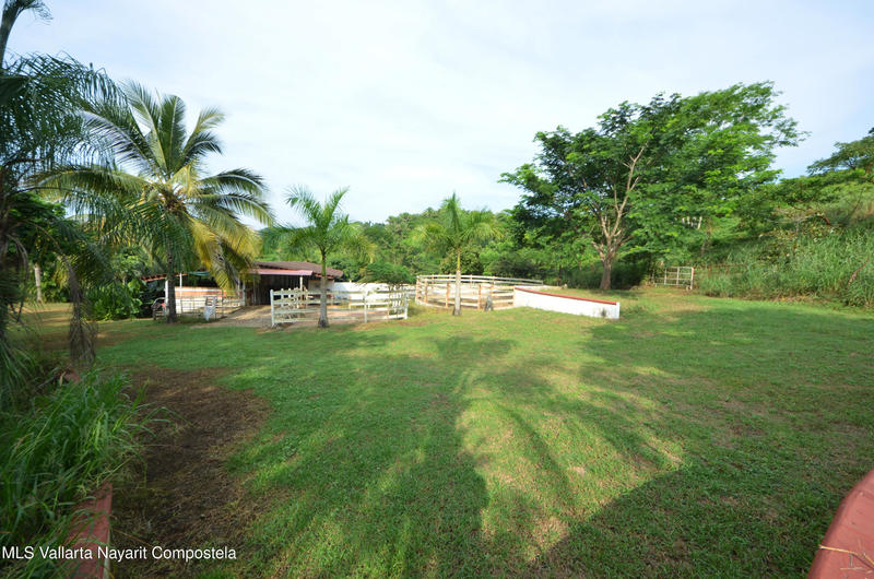 20260116235633546059000000 o