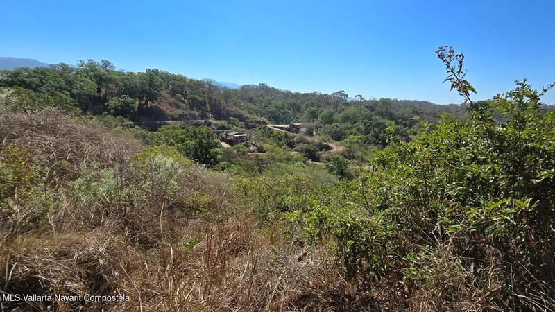 20250731211541648089000000 o