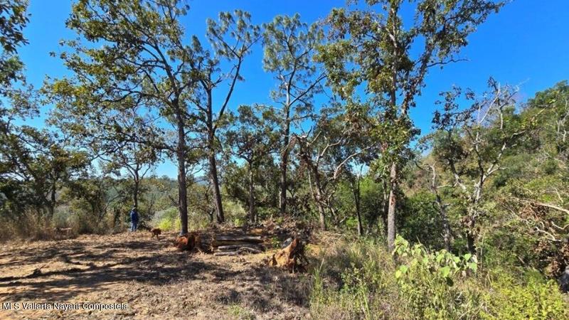 01 Carretera Tuito   Vallarta, Lote 08, Sierra Madre Jalisco, Ja