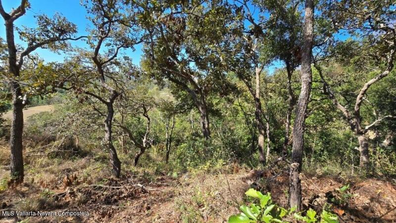 20250804202428688201000000 o