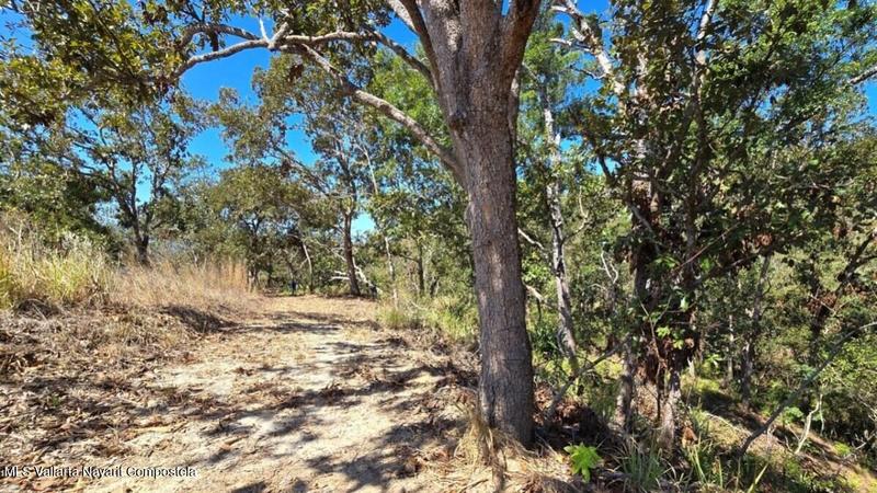 20250804200354418734000000 o