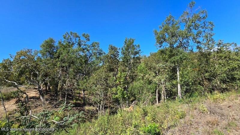 20250801184536638124000000 o