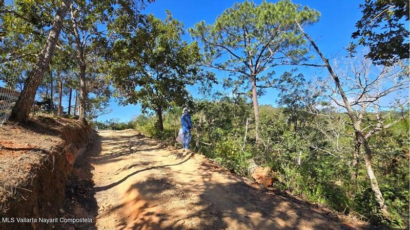 20250804201227119257000000 o