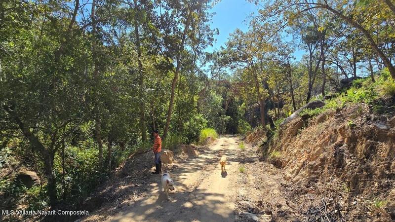 20250804205416149239000000 o