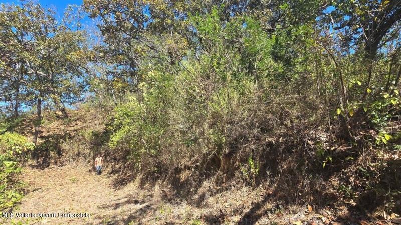 20250801193515372193000000 o