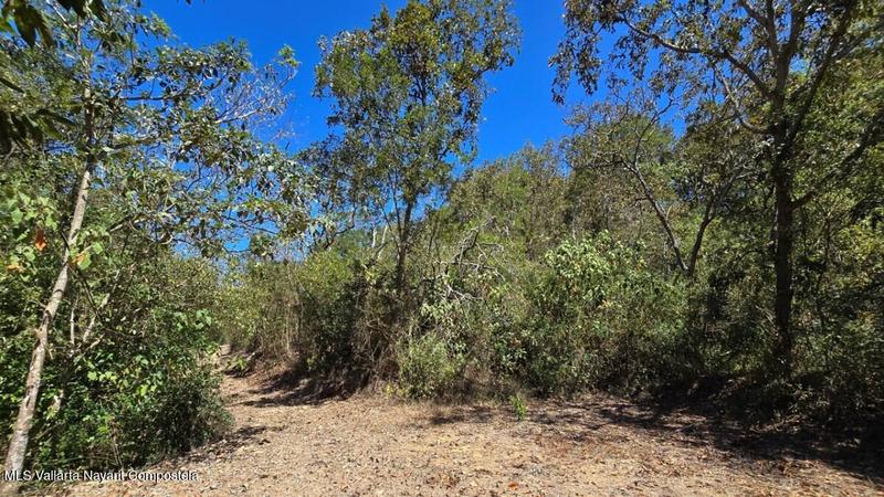 01 Carretera Tuito   Vallarta, Lote 18, Sierra Madre Jalisco, Ja