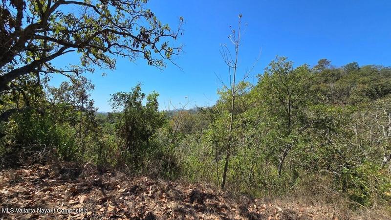 20250804201829417996000000 o