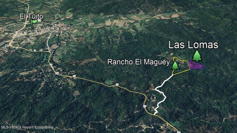 20250804201830605682000000 o