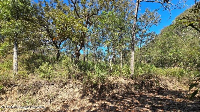 20250801194112949707000000 o