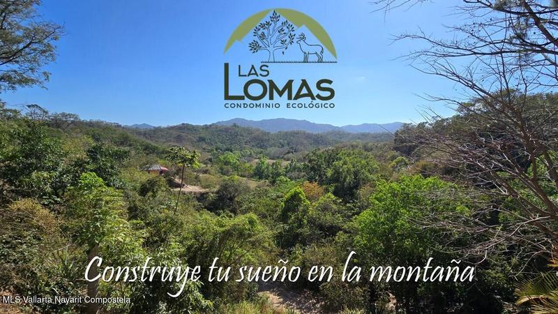 20250801194708449733000000 o