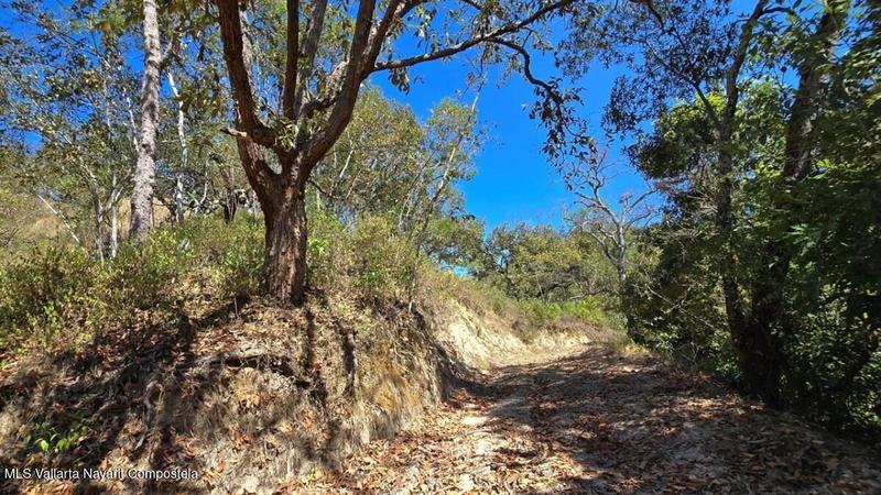 20250801194709751407000000 o