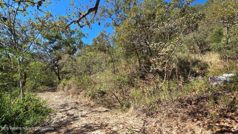 20250804211318995307000000 o