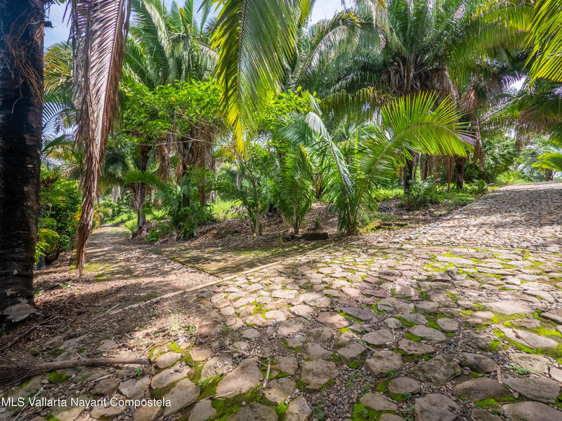 20251001205744145259000000 o