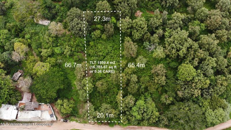 20251211055537595517000000 o