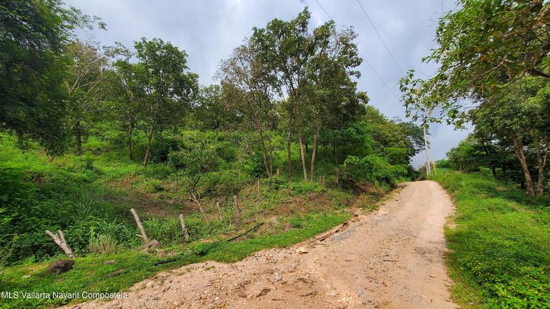 20251211055621288181000000 o