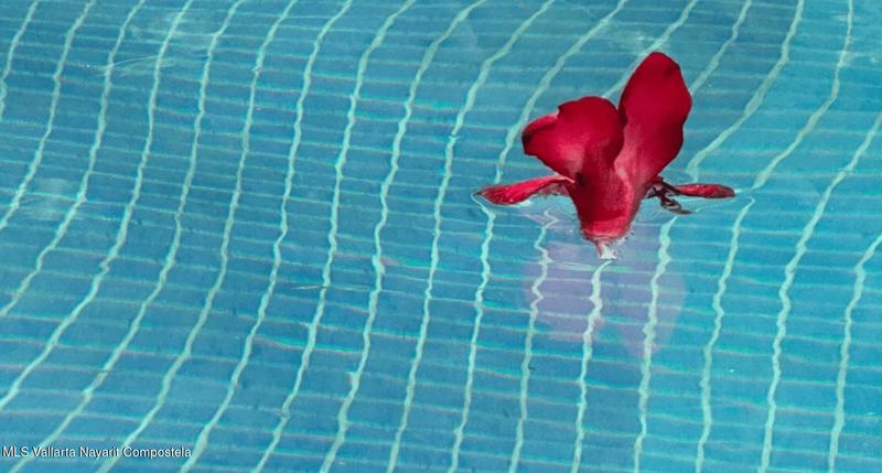 20250722174315402165000000 o