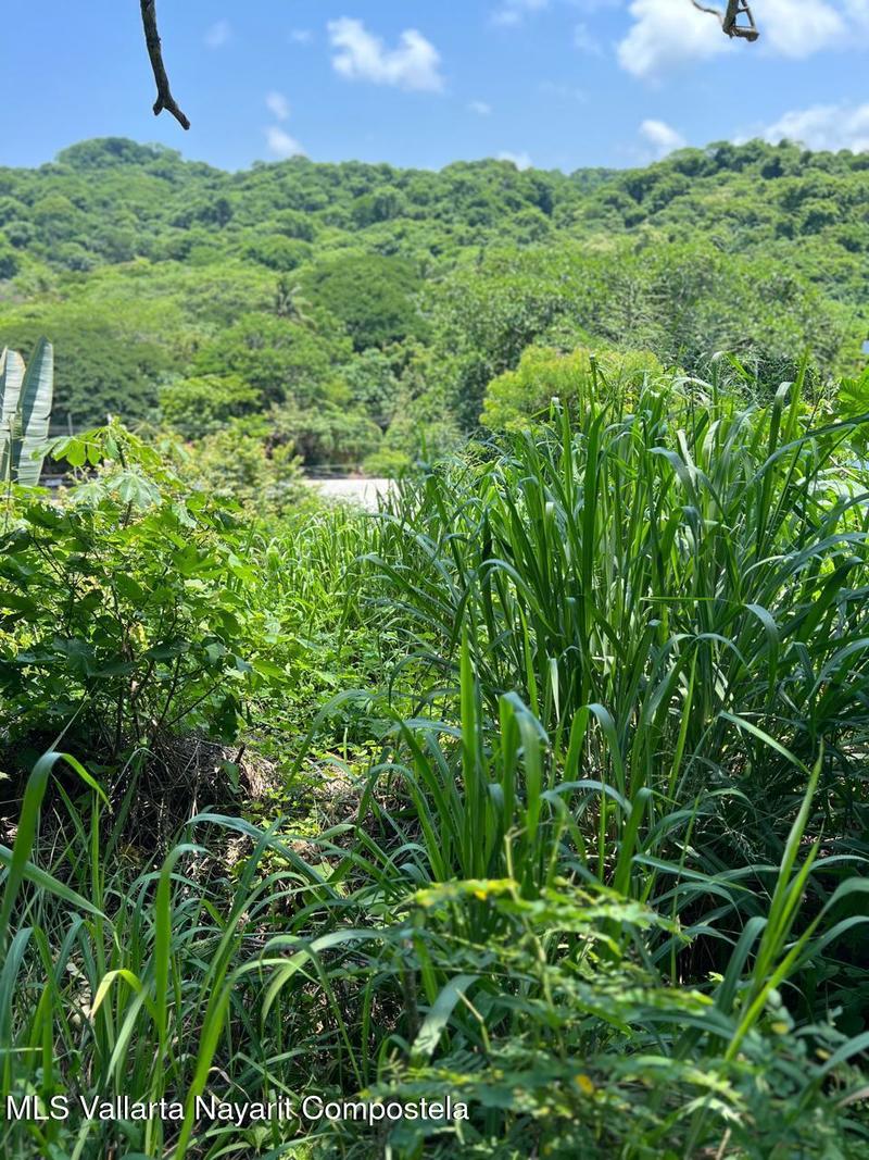 20250723192304875751000000 o