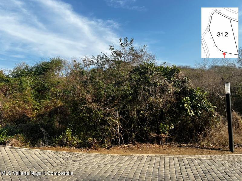 20260207162226692676000000 o