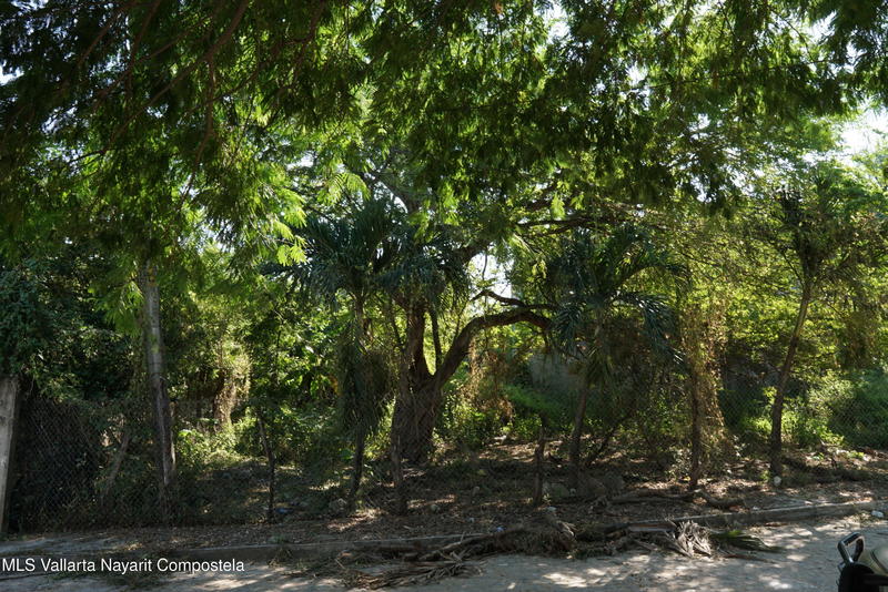 20260210163116492594000000 o