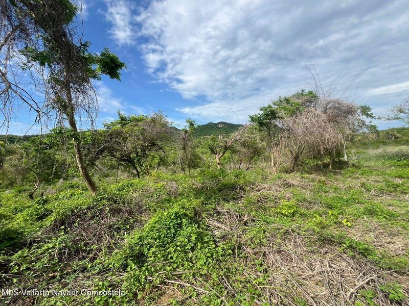 20250704185524963108000000 o