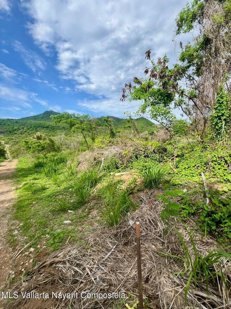 20250704185613272300000000 o