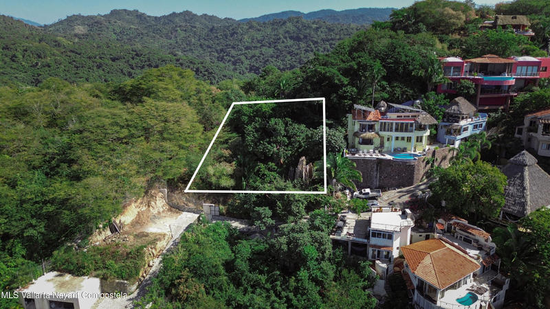 20260127165104391165000000 o