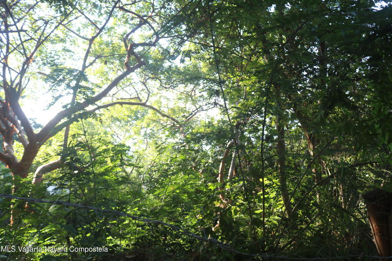 20251226185100698307000000 o