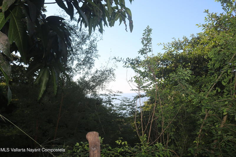 20251226185241552254000000 o