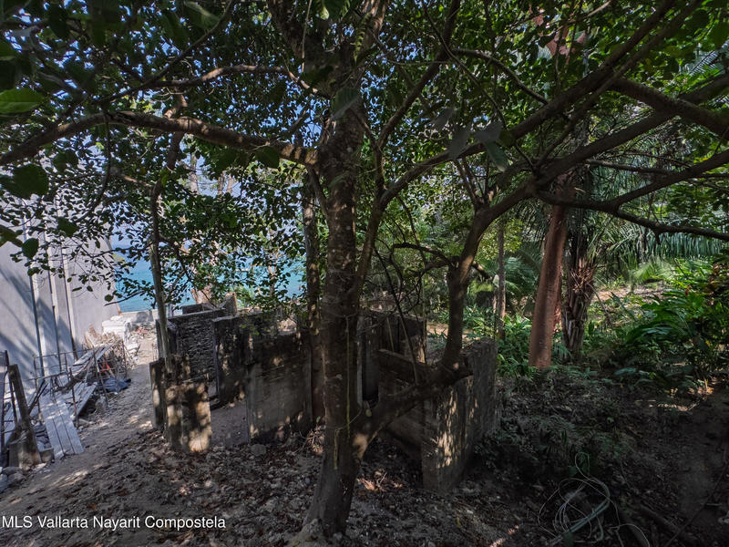 20251203231208213819000000 o