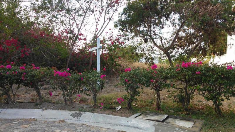 24 Garzas Y Gaviotas, La Playa Estates Lot, Riviera Nayarit, Na