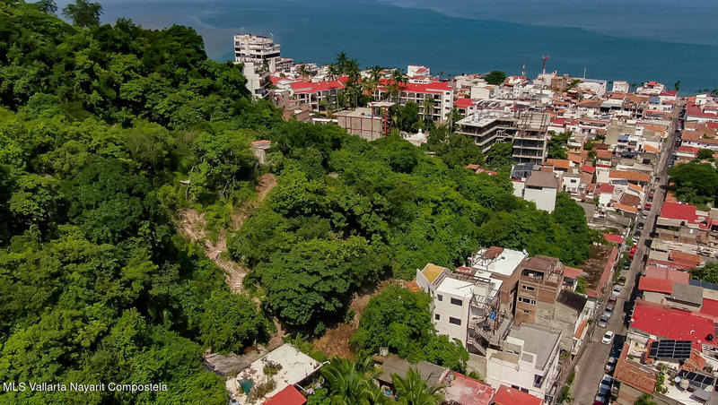 20250915232422446289000000 o