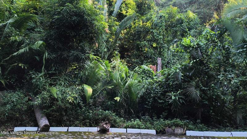 29 Carretera A Barra De Navidad, Lote 29 San Xoaquín, Puerto Vallarta, Ja