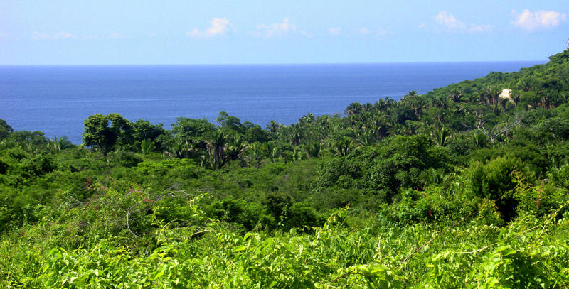 325 Localidad De Litibu, Fafega Lot 6, Riviera Nayarit, Na