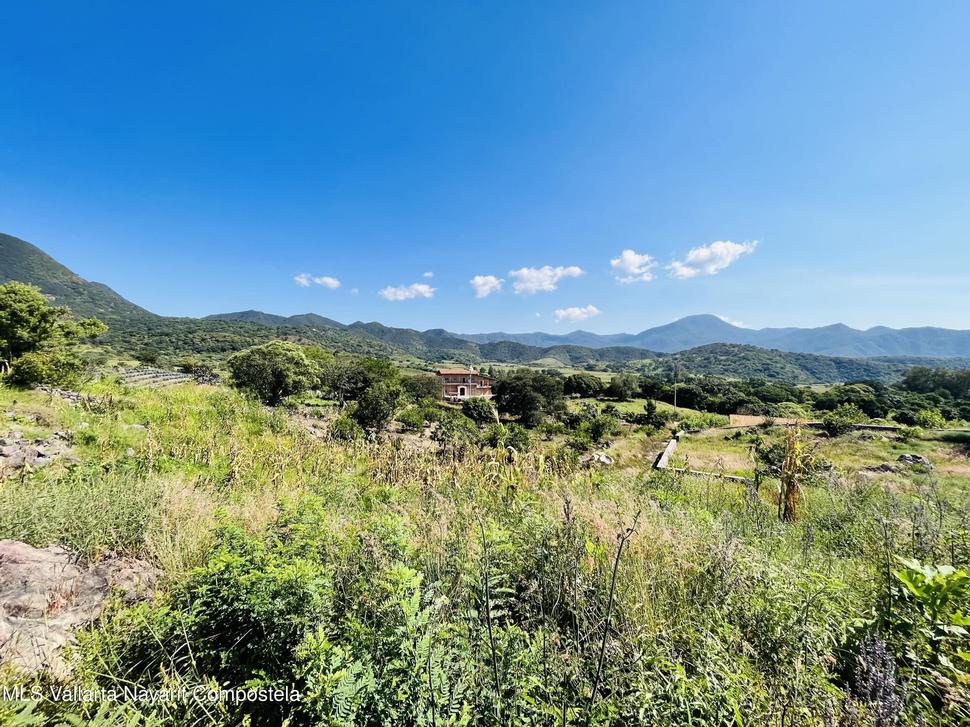 20260130012116963919000000 o