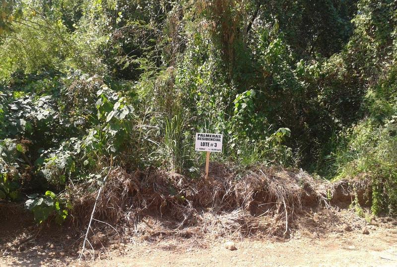 3 Las Palmeras, Las Palmeras 03, Riviera Nayarit, Na