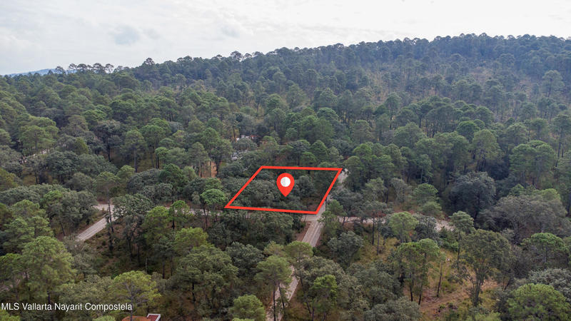 20251215230647491904000000 o