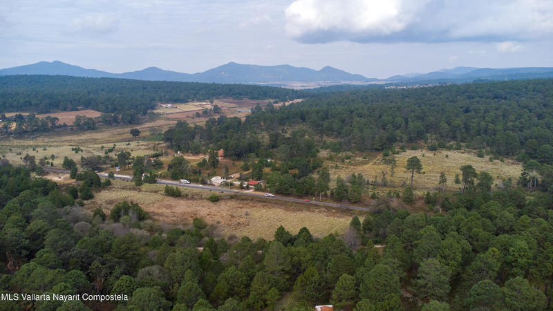 20251215230749134976000000 o