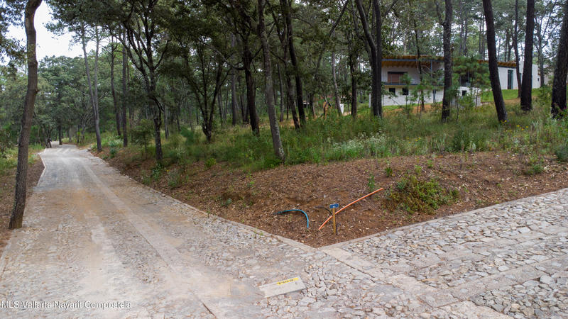 20251215230759592273000000 o