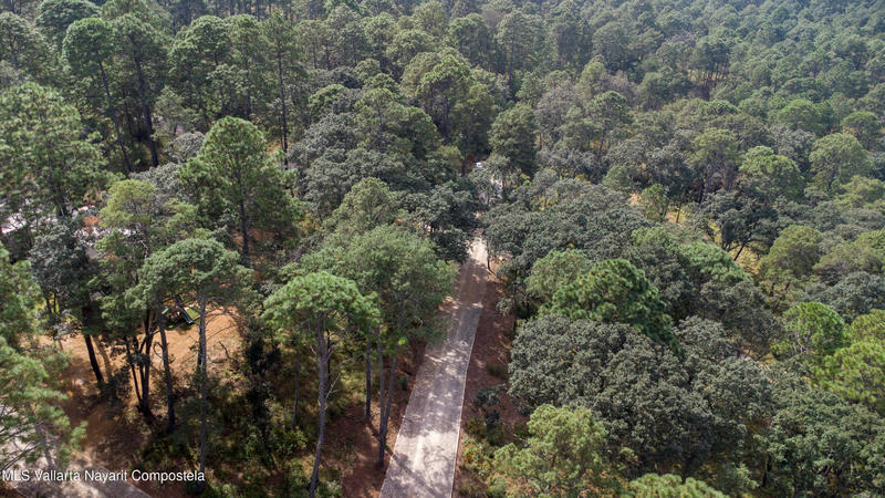 20251215230808223137000000 o