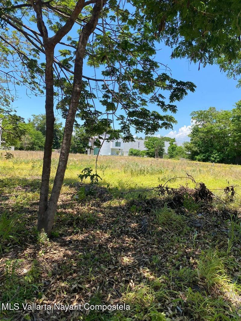 20250730003623605954000000 o