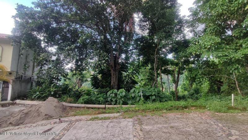 20250818051644444373000000 o