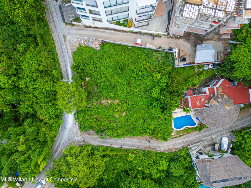 20251205194315579152000000 o