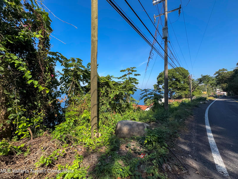 20260203173039011884000000 o