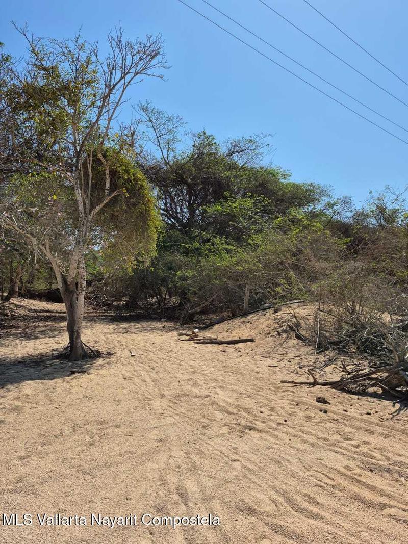 20250802224116817831000000 o