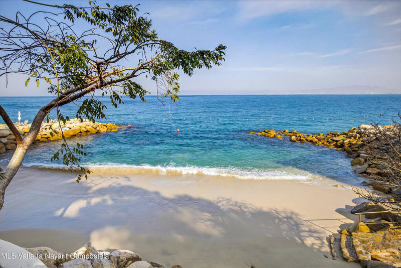 20260123064959804565000000 o